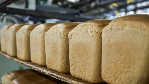 Татарстанцем рассказали, как изменится цена на хлеб после нового ГОСТа 01/04/2026 &ndash; Новости