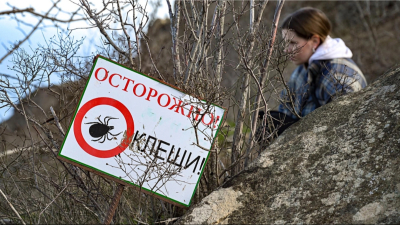 Врач рассказала, как защититься от клещей с помощью скотча и масел