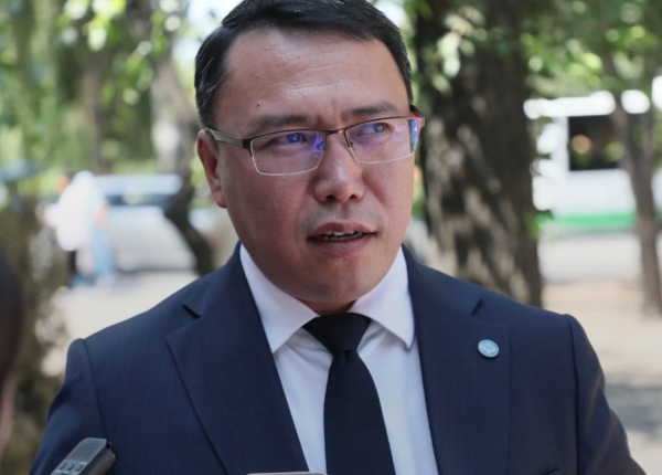 Пресс-секретарь президента опубликовал детали обращения матери Ажиева