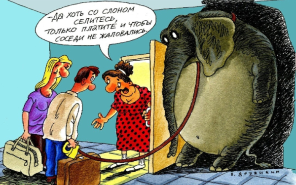 Хочу запретить соседу сдавать квартиру посуточно. Совет юриста