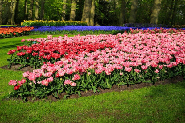 Депутат Стенякина: россиян ждут самые короткие майские праздники за восемь лет