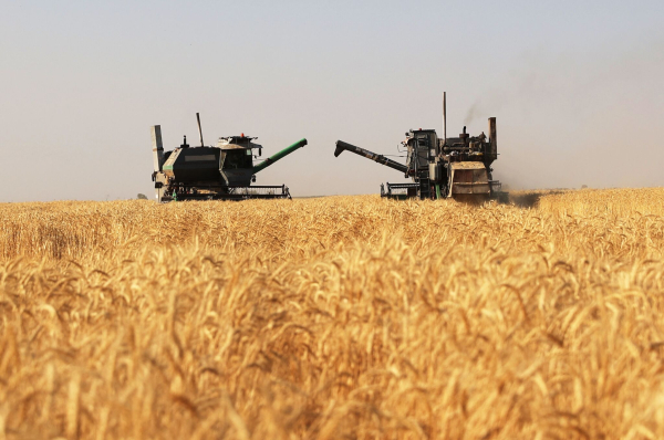 Укрепление позиций