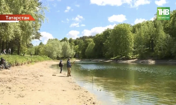 3 млрд рублей направят на восемь экологических инициатив в Татарстане