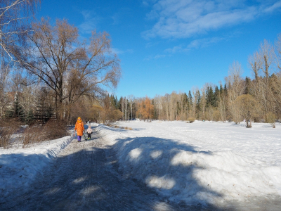 Жителей Новосибирска ждет летнее тепло в апреле: синоптики озвучили прогноз