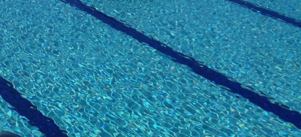 Трое казахстанцев отметились медалями на ЧА по водным видам спорта