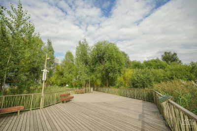 На голосование за объекты благоустройства на 2027 год в РТ вынесено 178 пространств