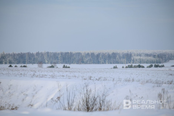 Сегодня в Татарстане ожидается до -20 градусов