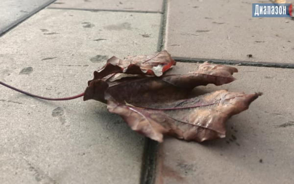 Погода в Актобе на 11-13 октября. Ожидаются похолодание и дождь