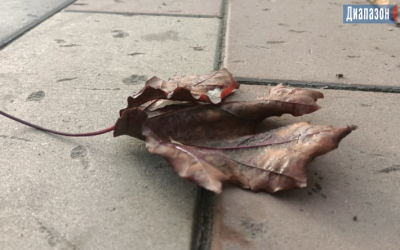 Погода в Актобе на 11-13 октября. Ожидаются похолодание и дождь