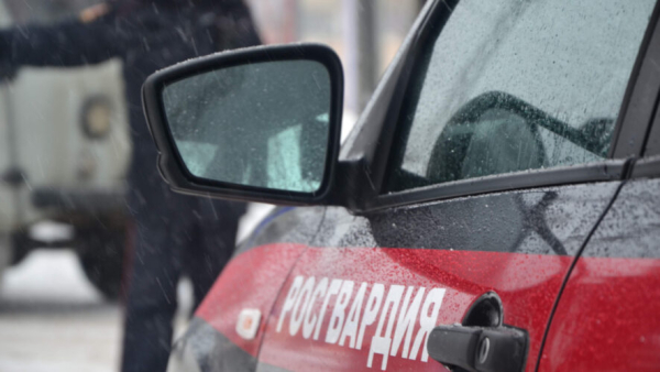 Преступление с душком: вора-нюхача с дорогим парфюмом поймали росгвардейцы в Казани 02/04/2026 &ndash;