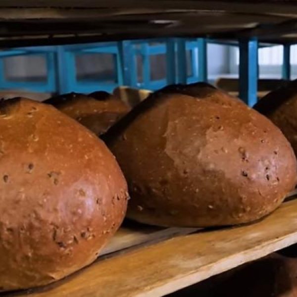 Новый федеральный проект &laquo;Развитие малого агробизнеса&raquo; дает новые возможности