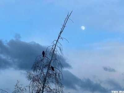 В завершение короткой рабочей недели в Татарстане ветер стихнет, но осадки не прекратятся