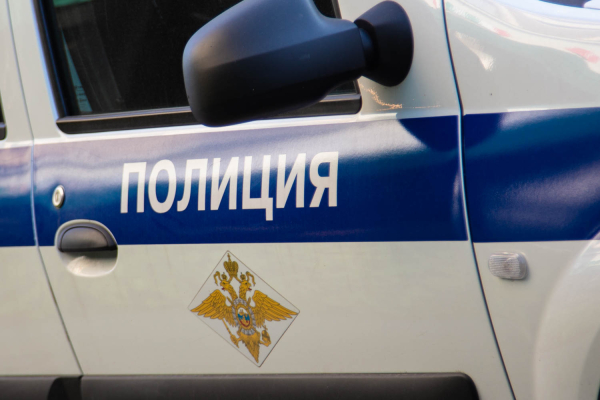 Донцова подала заявление на владельца пса, напавшего на внука