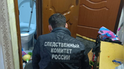 Отец выбросил из окна свою трехлетнюю дочь, его признали невменяемым 22/01/2026 &ndash; Новости