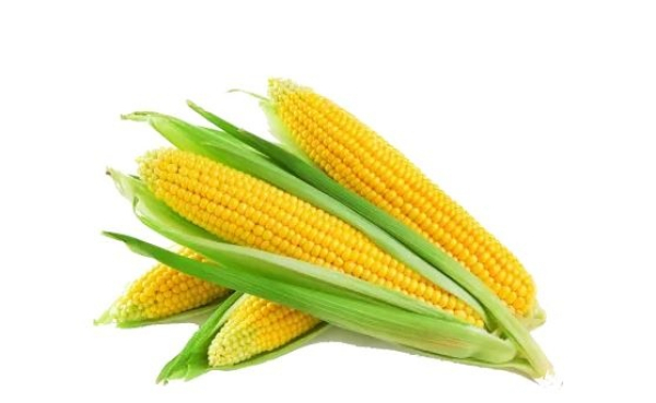 Житель Жайылского района купил "кукурузу" и лишился 612 тысяч сомов