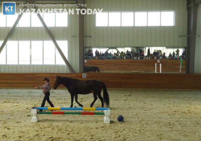 За судьбу алматинского ипподрома опасаются жители города - депутат