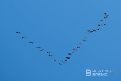 Татарстанцам рассказали о погоде до конца недели