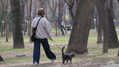 В Алматы приняли новые правила выгула домашних животных