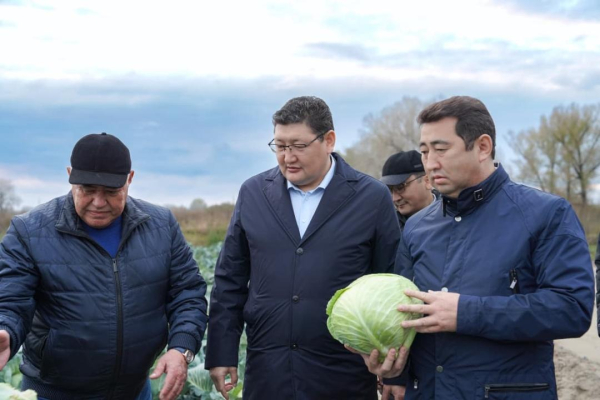 В области Абай растёт инвестиционная активность в агропромышленном комплексе