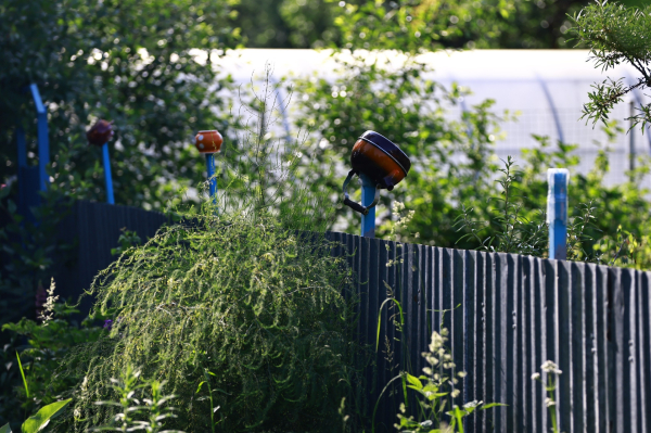 Татарстанца оштрафовали за заросший сорняком участок