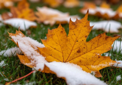 Дождь со снегом и заморозки ожидаются в пятницу в отдельных регионах Казахстана
