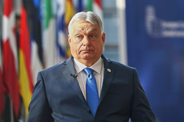 Член СВОП назвал причины поражения Орбана на выборах