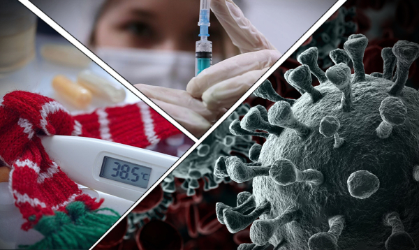 Роспотребнадзор: норовирус стал причиной отравления школьников в&nbsp;Богородске