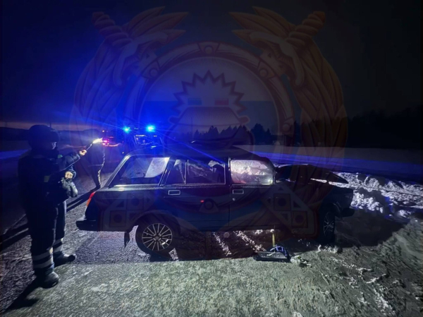 Водитель погиб в ДТП, совершив наезд на теленка, в Альметьевском районе