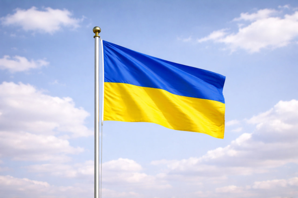 Украинский депутат Каптелов: реформа мобилизации в ВСУ провалилась