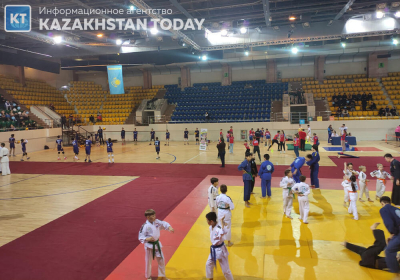 Полагаются только на госфинансирование - Токаев раскритиковал глав спортивных федераций