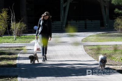 Сегодня в Татарстане потеплеет до +16 градусов
