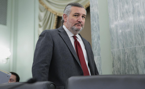 Сенатор Круз рассказал, как Трамп кричал из-за просьбы уйти в отставку