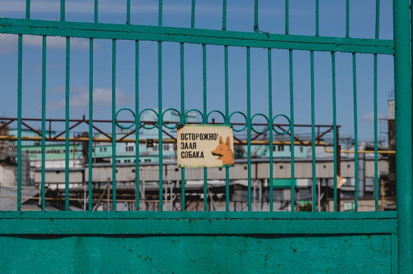 Выручка челнинского элеватора перевалила за 10 миллиардов