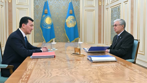 Глава государства принял Государственного советника – руководителя Рабочей группы по Парламентской реформе