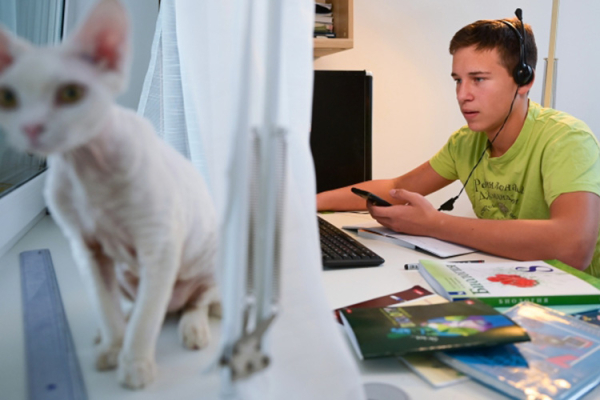 Депутат Госдумы Вольфсон предложил пересмотреть переход школьников на&nbsp;семейную форму обучения &ndash; инициатива вызвала резонанс