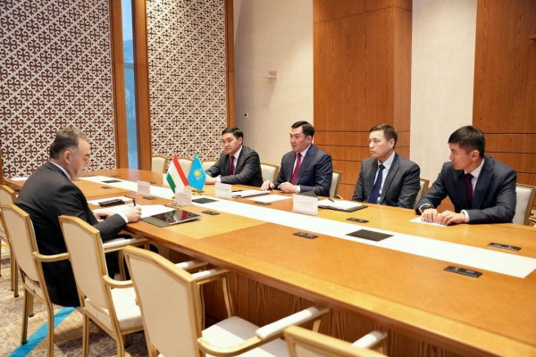 Казахстан и Таджикистан расширяют энергетическое и гуманитарное сотрудничество