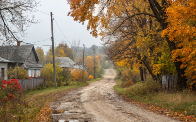 Нам нужен общественный транспорт!